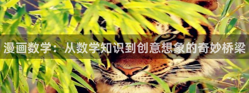韩漫漫画免费漫画弹窗入口：漫画数学：从数学知识到创意想象的奇妙桥梁