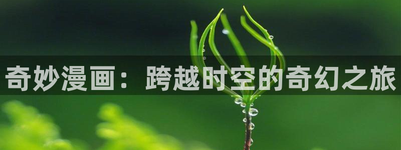 韩漫漫画破解版：奇妙漫画：跨越时空的奇幻之旅