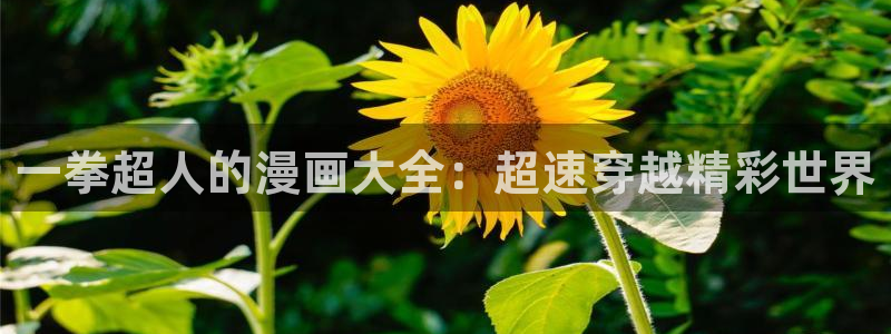 韩漫漫画下拉：一拳超人的漫画大全：超速穿越精彩世界